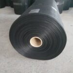 64499801_1296134563886267_6038764098810806272_n